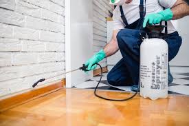 Best Residential Pest Control  in Hemet, CA